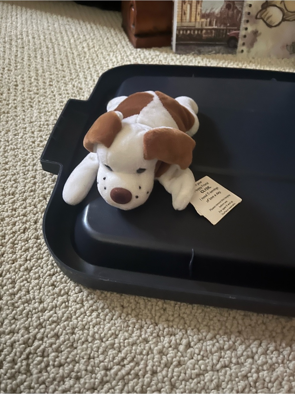 Dog beanie baby Clyde
